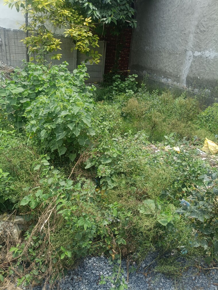Garden, radha-krishna-residency  95 Sq.Yd. Plot In Tilapta Greater Noida 9038211