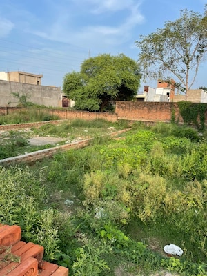 Plot Area in  Plot at Kamta – for Sale