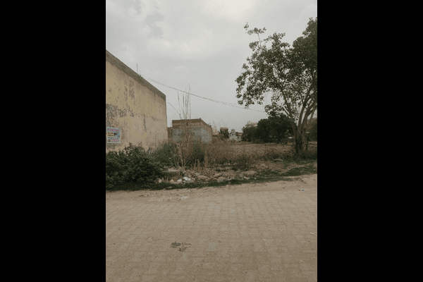 Plot For Sale in Singhu