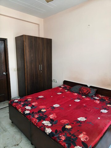 2 BHK Apartment For Rent in Ajnara Homes, Sector 16b Greater Noida