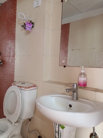 Bathroom in 2 BHK Apartment at Radicon Vedantam, Sector 16c Greater Noida – for Rent