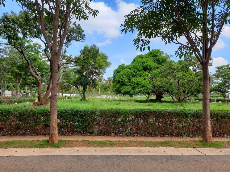 undefined, taapasi-rosebay  2400 Sq.Ft. Plot In Yelahanka Bangalore 9038546