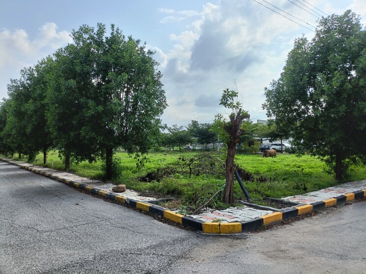 Garden, kompally  183 Sq.Yd. Plot In Kompally Hyderabad 9038578