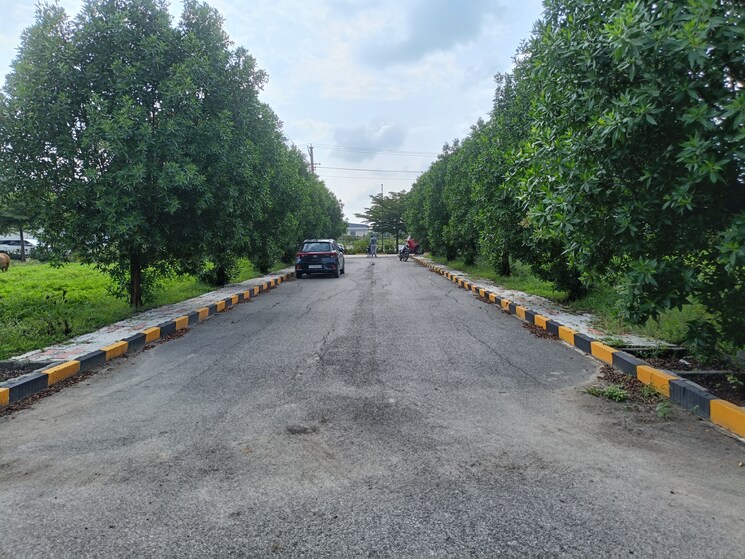 Garden, kompally  183 Sq.Yd. Plot In Kompally Hyderabad 9038578