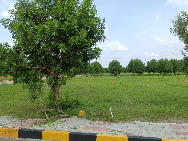 Garden, kompally  183 Sq.Yd. Plot In Kompally Hyderabad 9038578