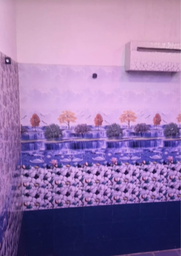Attached Bathroom in 5 BHK Independent House at Patanjali Phase 1 – for Sale
