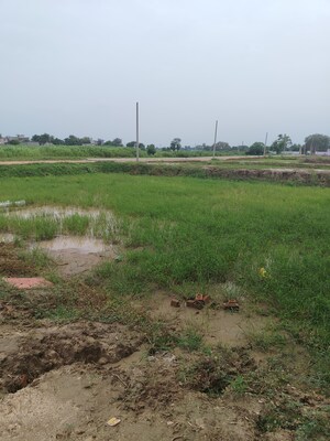  Plot For Sale in Sector 17a Yamuna Expressway