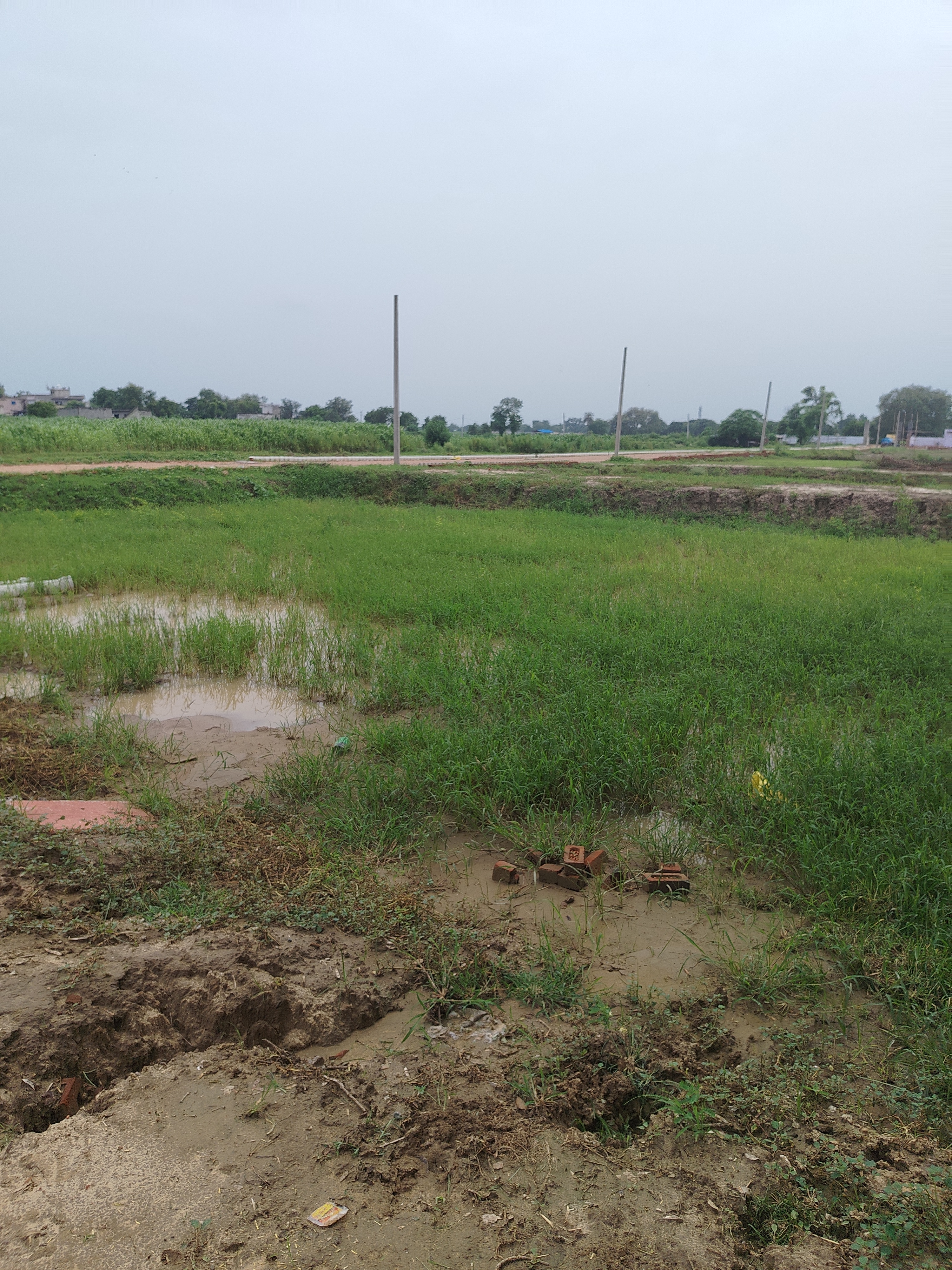 Plot For Sale in Friends Colony Dankaur 