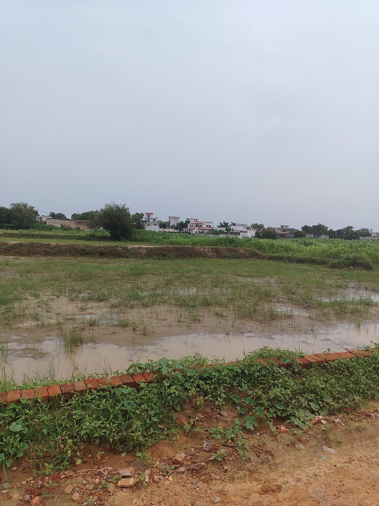 undefined, sector 17a yamuna expressway  200 Sq.Yd. Plot In Sector 17a Yamuna Expressway Greater Noida 9038794