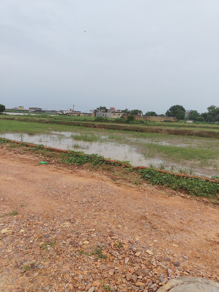 undefined, sector 17a yamuna expressway  200 Sq.Yd. Plot In Sector 17a Yamuna Expressway Greater Noida 9038794