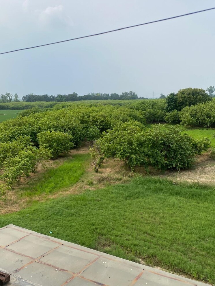 Balcony, aerocity 2 Bedroom 1800 Sq.Ft. Independent House In Aerocity Mohali 9038788