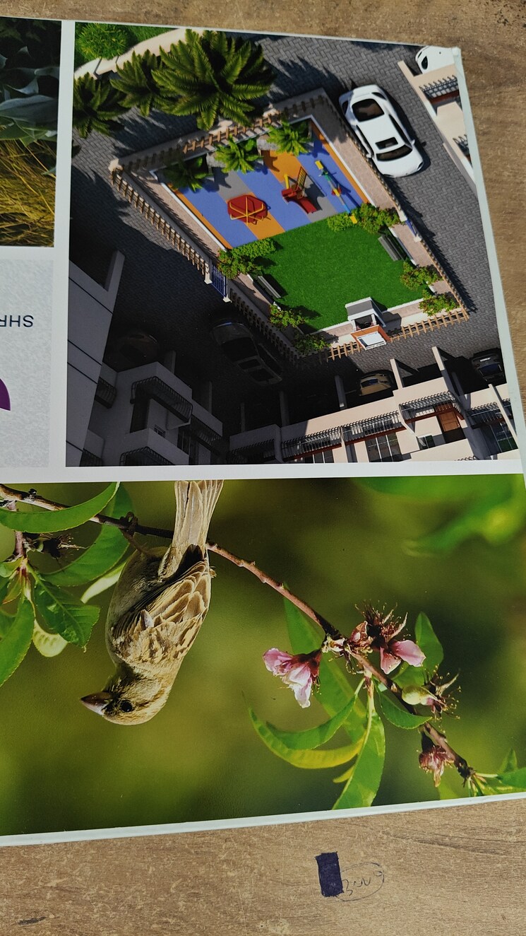 undefined, shree-paradise-apartments 1 Bedroom 465 Sq.Ft. Apartment In Kiwale Pune 9039037