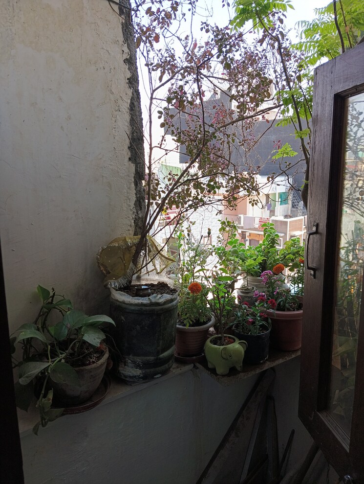 Balcony, lado sarai 2 Bedroom 90 Sq.Yd. Builder Floor In Lado Sarai Delhi 8972567