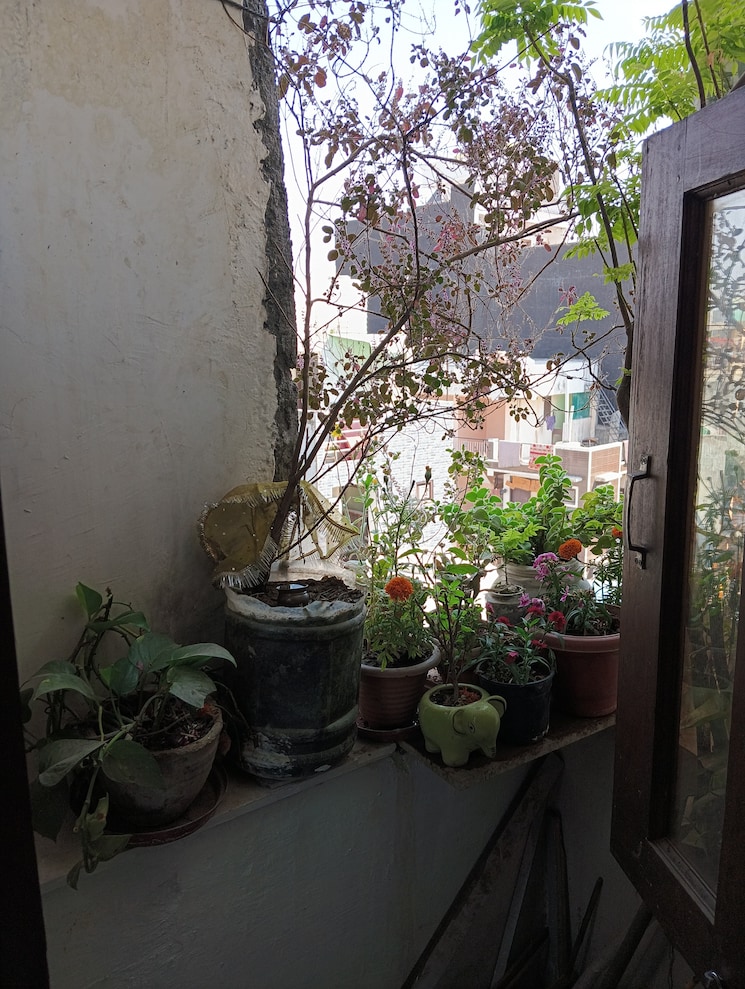 Balcony, lado sarai 2 Bedroom 90 Sq.Yd. Builder Floor In Lado Sarai Delhi 8972567