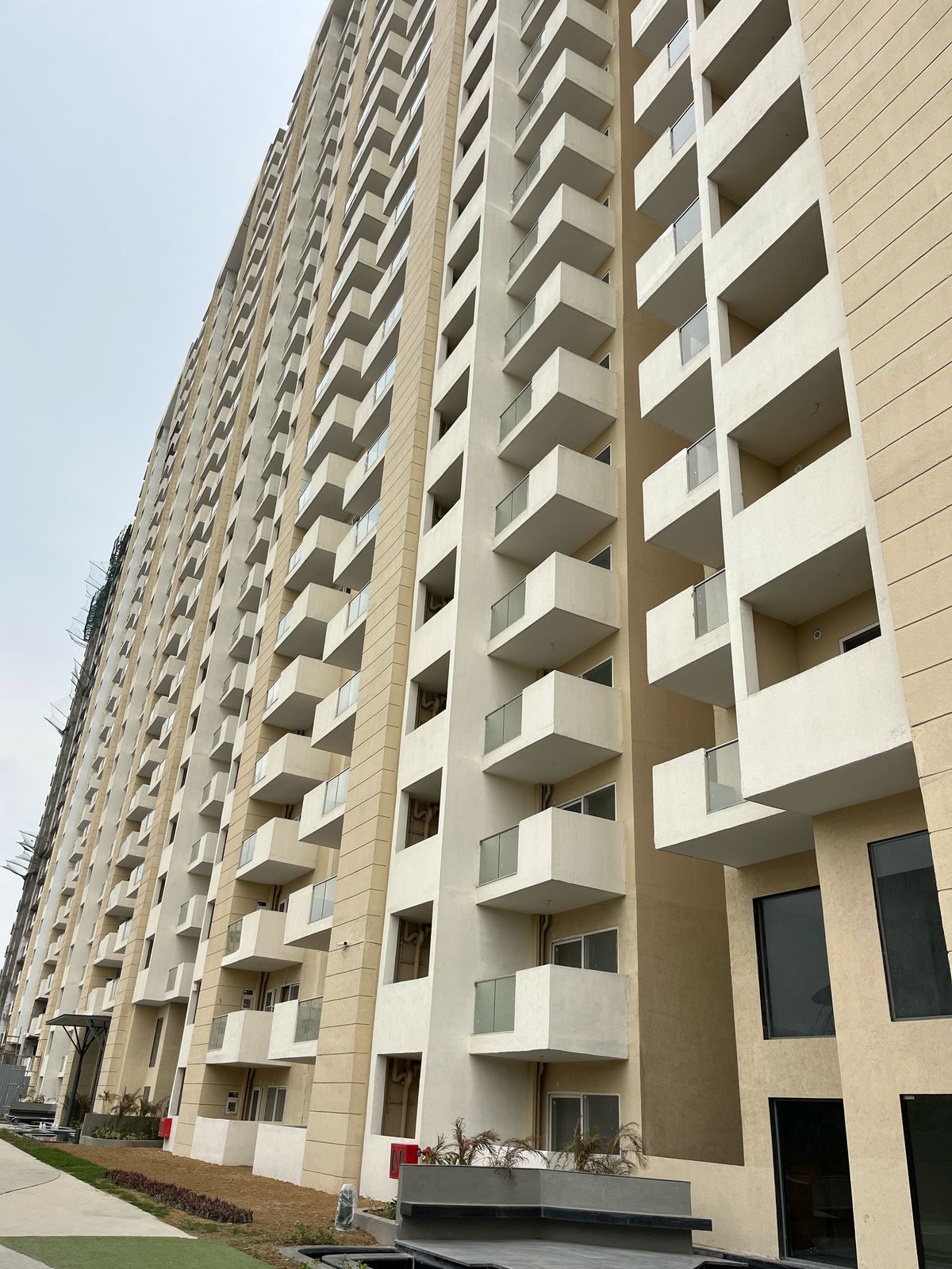 3 BHK + Pooja Room Apartment For Rent in Tulip Yellow