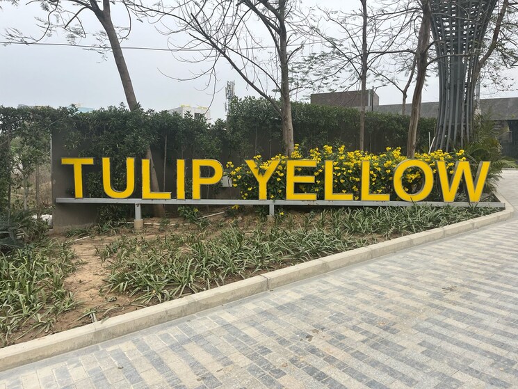 Exterior View, tulip-yellow 3 Bedroom 1704 Sq.Ft. Apartment In Sector 69 Gurgaon 9039161