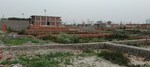 100 Sq.Yd. Plot in Knowledge Park 2 Greater 
