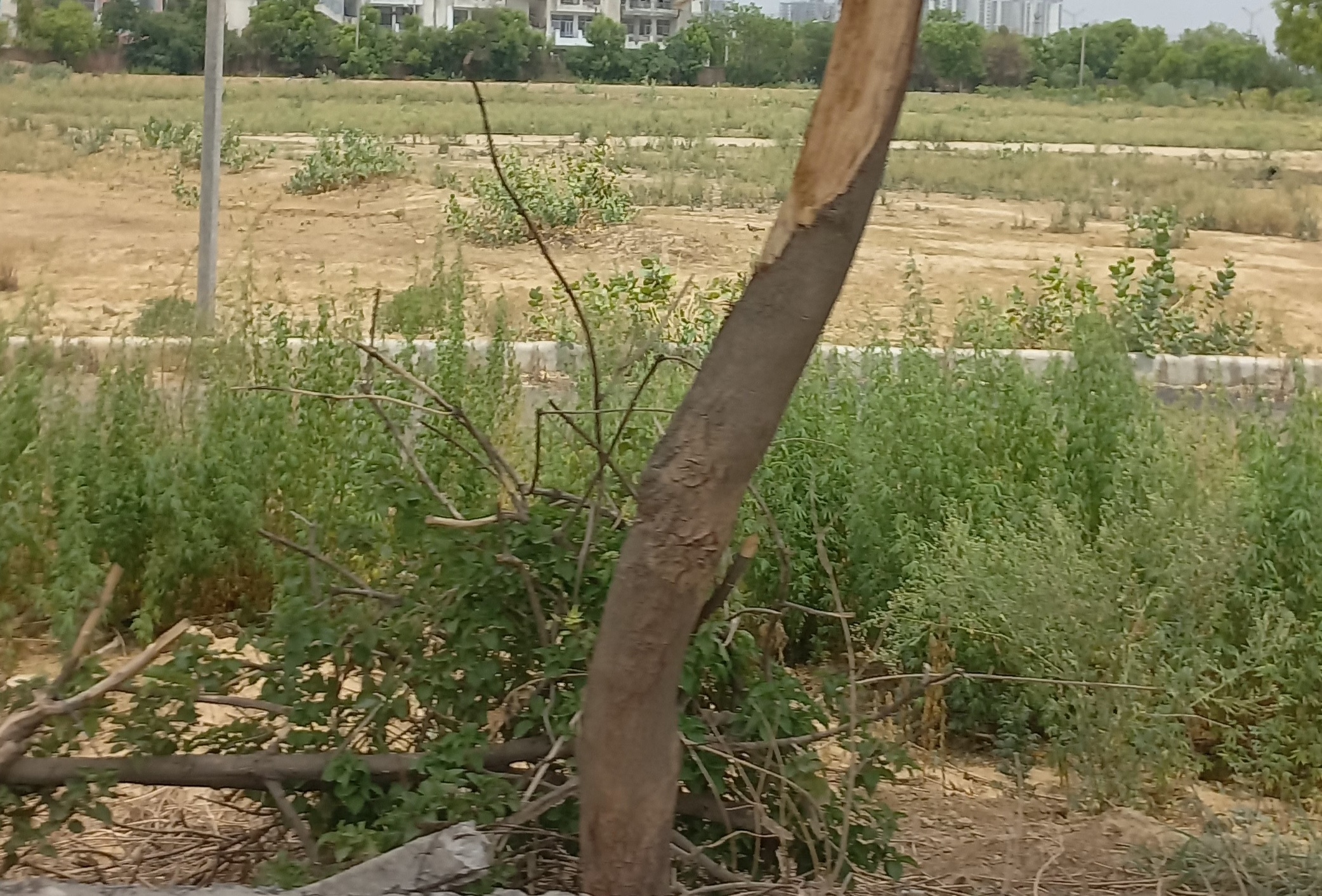 Plot For Sale in Omaxe City - Omaxe Heights