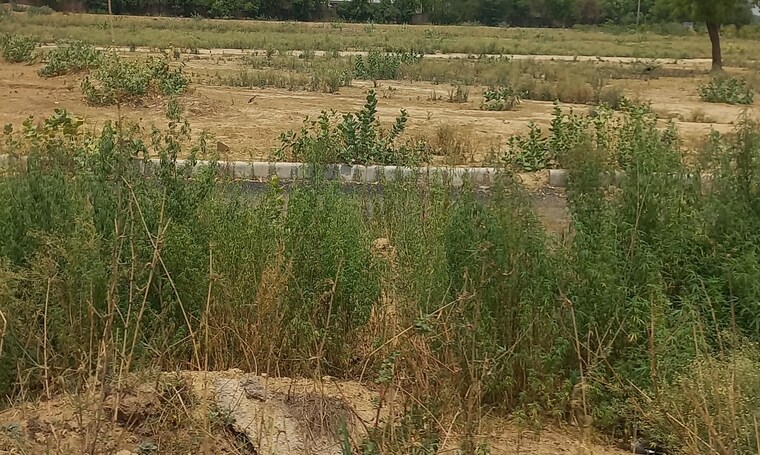 undefined, omaxe-city-omaxe-heights  1116 Sq.Ft. Plot In Sector 97 Faridabad 9039167