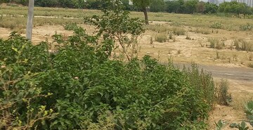 Plot Area in  Plot at Omaxe City - Omaxe Heights, Sector 97 – for Sale