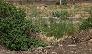 Plot Area in  Plot at Omaxe City - Omaxe Heights, Sector 97 – for Sale