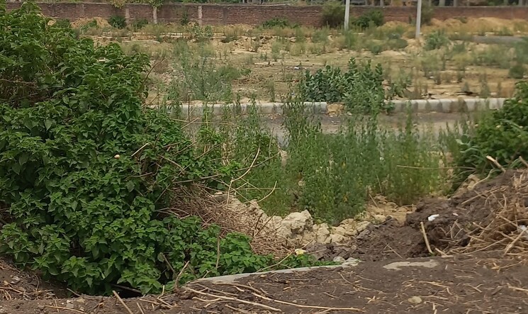 undefined, omaxe-city-omaxe-heights  1116 Sq.Ft. Plot In Sector 97 Faridabad 9039167