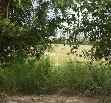 Plot Area in  Plot at Omaxe City - Omaxe Heights, Sector 97 – for Sale