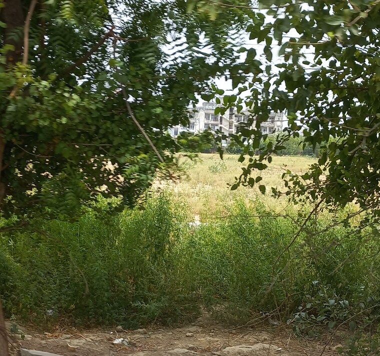 undefined, omaxe-city-omaxe-heights  1116 Sq.Ft. Plot In Sector 97 Faridabad 9039167