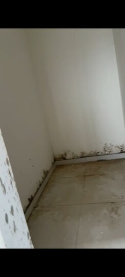 3.5 BHK + Study Room Apartment For Sale in Ramky One Odyssey