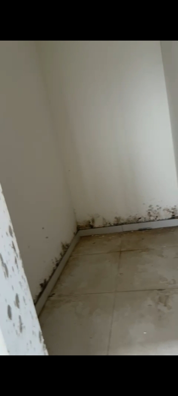 3.5 BHK + Study Room Apartment For Sale in Ramky One Odyssey