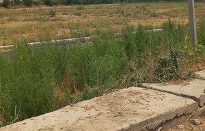 Plot Area in  Plot at Adore Smart City, Sector 97 – for Sale