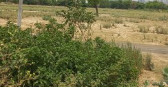 Plot For Sale in Adore Smart City