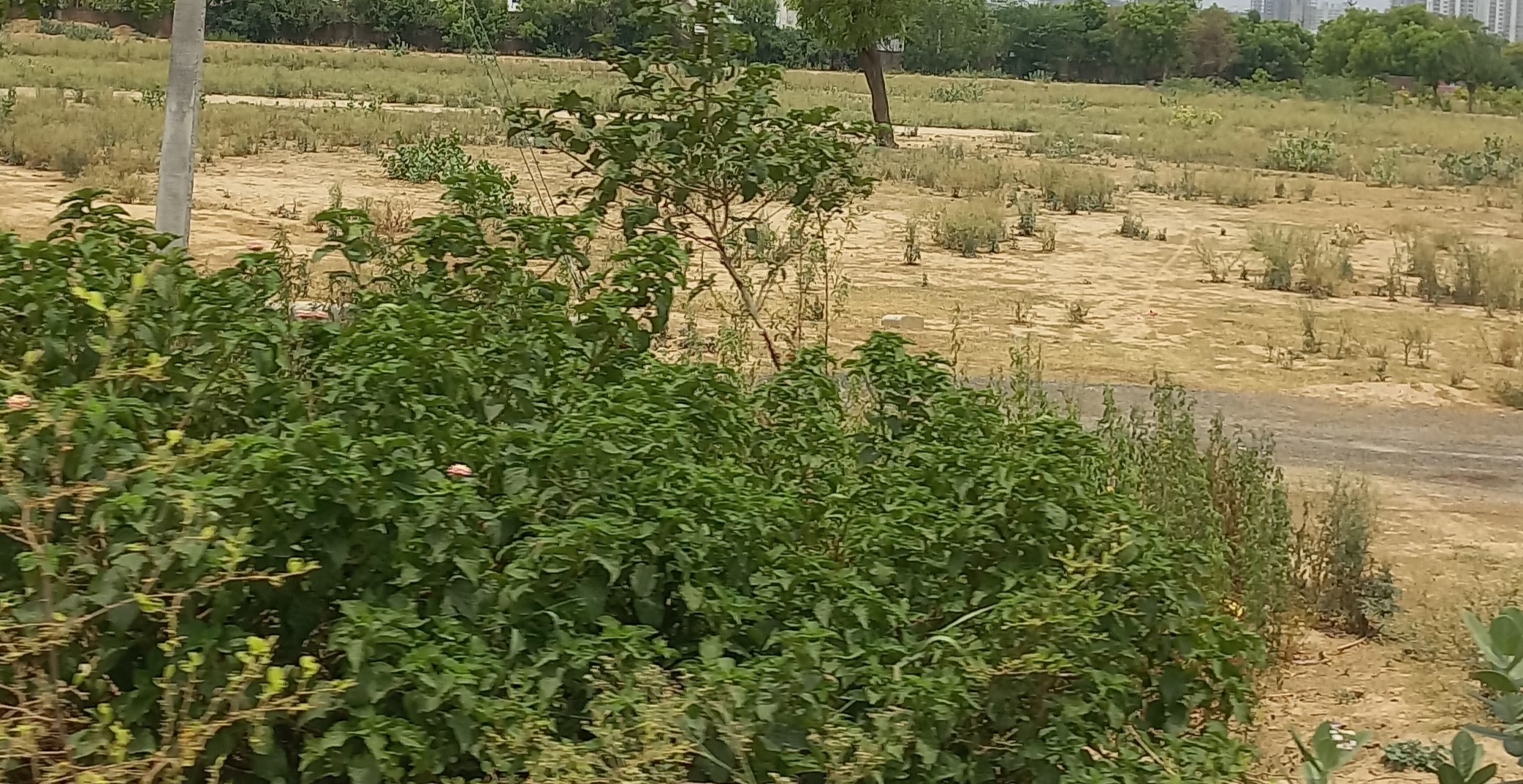 Plot For Sale in Adore Smart City