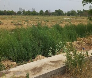 Plot Area in  Plot at Adore Smart City, Sector 97 – for Sale