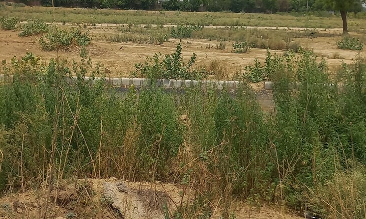 undefined, adore-smart-city  1152 Sq.Ft. Plot In Sector 97 Faridabad 9039231