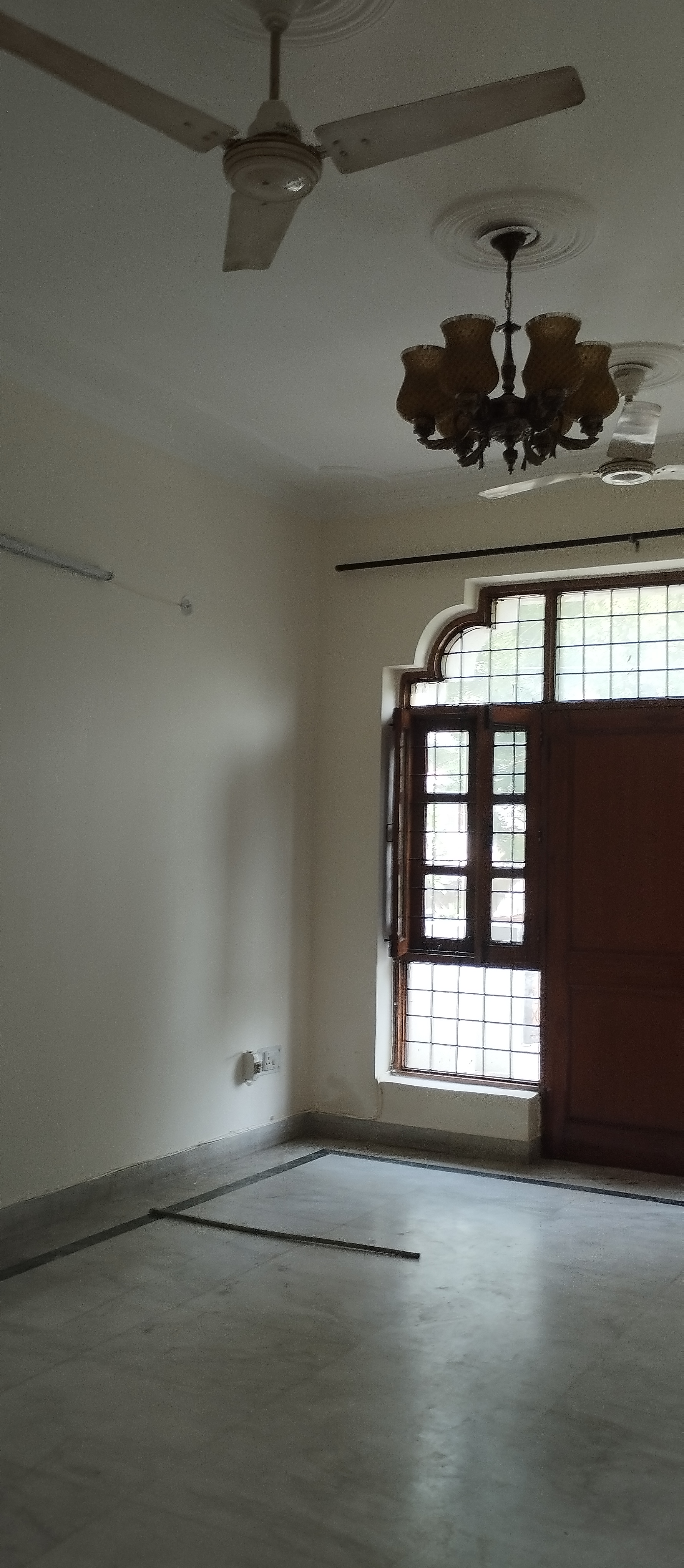 3 BHK + Study Room Builder Floor For Rent in Sector 39