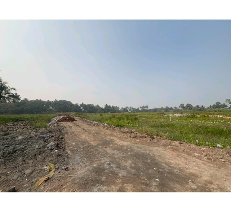 undefined, joka  720 Sq.Ft. Plot In Joka Kolkata 9039425