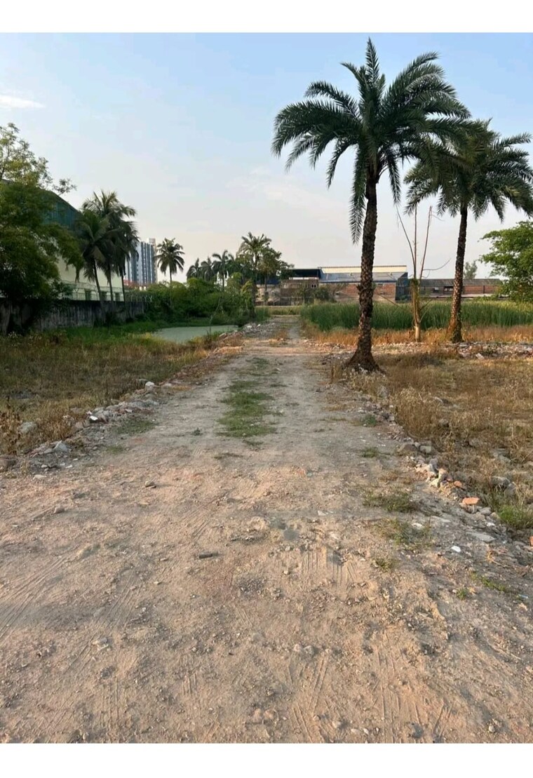 undefined, joka  720 Sq.Ft. Plot In Joka Kolkata 9039425