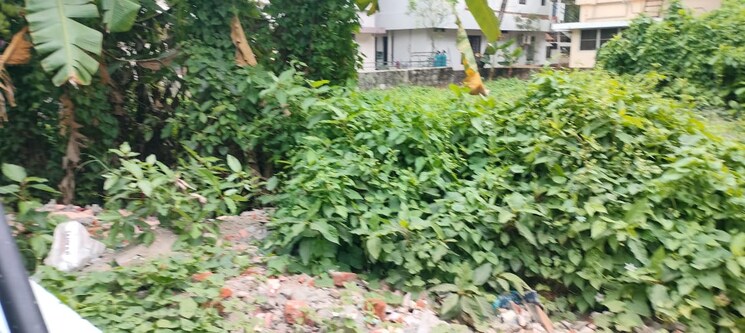 undefined, punkunnam  4358 Sq.Ft. Plot In Punkunnam Thrissur 9039581
