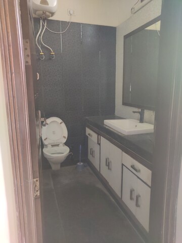 3 BHK Independent House For Rent in Sector 43