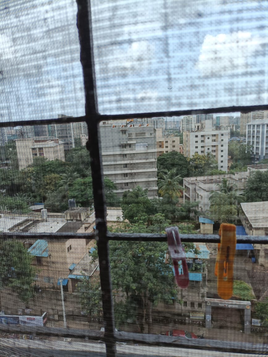 1 BHK 500 Sq.Ft. Apartment in Kyraa Ariso Apartment