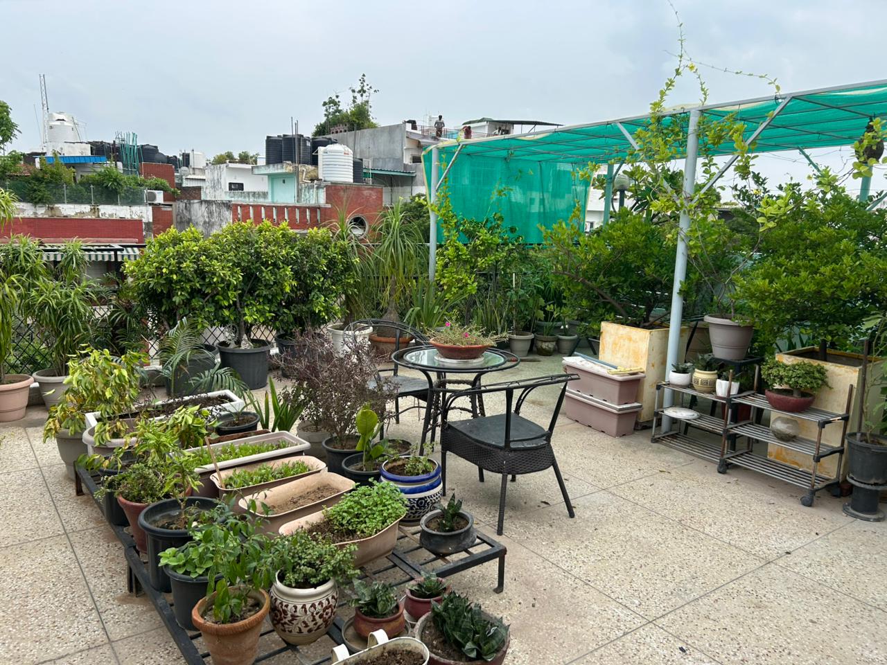 2 BHK Apartment For Rent in Ajnara Homes