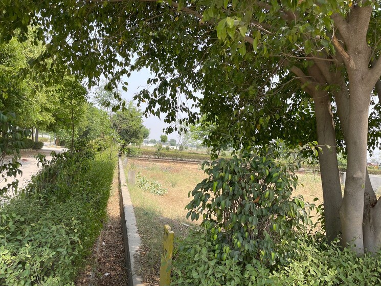 Garden, tappal  350 Sq.Yd. Plot In Tappal Aligarh 9040779