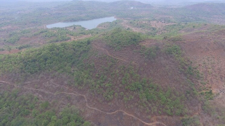 Garden, chiplun  1100 Acre Plot In Chiplun Ratnagiri 9040628