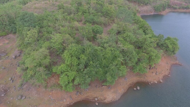 Garden, chiplun  1100 Acre Plot In Chiplun Ratnagiri 9040628