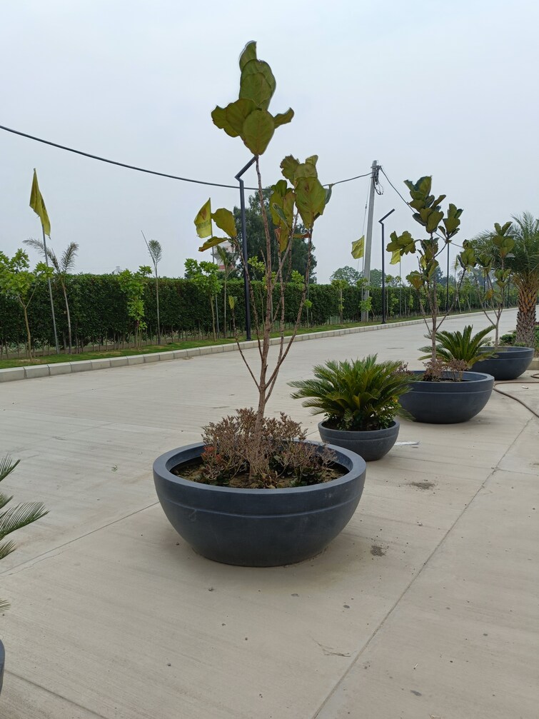 Cover Image, sector 8  250 Sq.Yd. Plot In Sector 8 Panipat 9041217