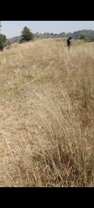  Land – Map Location View at Dhanachuli - for Sale