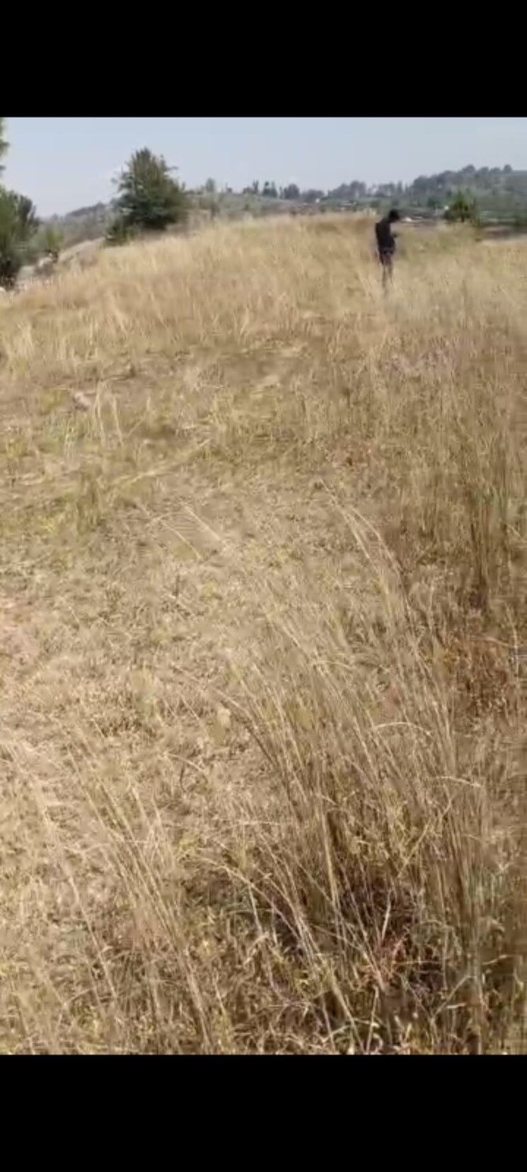 Map Location, dhanachuli Commercial Land 15000 Sq.Ft. In Dhanachuli Nainital 9041529