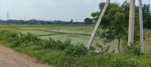 Plot Area in  Plot at Sangareddy – for Sale