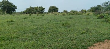 Plot Area in  Plot at Sangareddy – for Sale